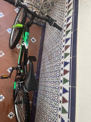 Bicicleta infantil DENDIBIKE