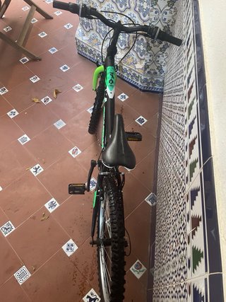 Bicicleta infantil DENDIBIKE