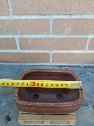 Maceta Mame Bonsái Cerámica Marrón