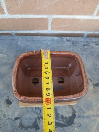 Maceta Mame Bonsái Cerámica Marrón