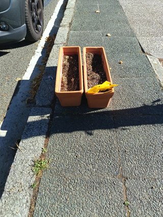 2 Vasi di Terracotta Marroni