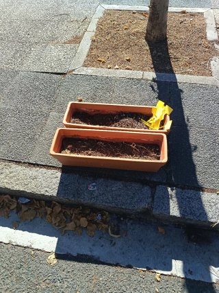 2 Vasi di Terracotta Marroni