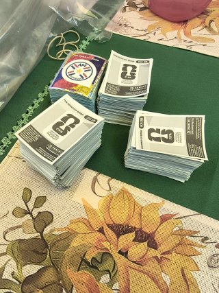 Cromos Mundial 2026 Panini