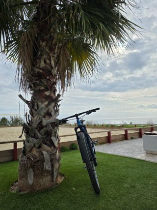 Mondraker Chrono R 29 Azul Metálico y Negro