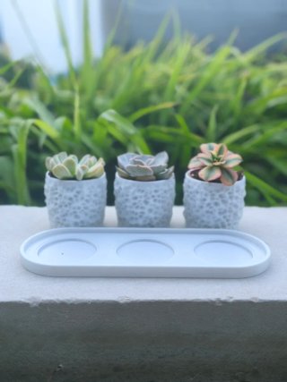 Conjunto 3 vasos decorativos