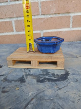 Maceta bonsai cerámica azul