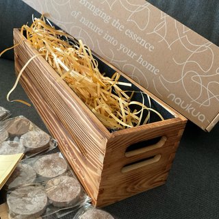 Kit Huerto Vintage Tomate Naukua