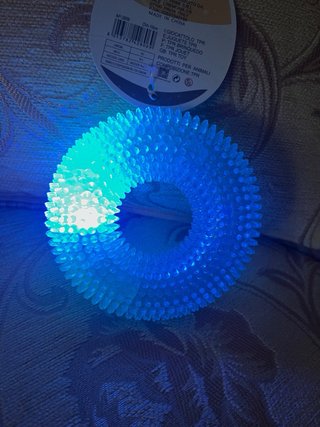 Ciambella gioco per cani. Nuovo.
