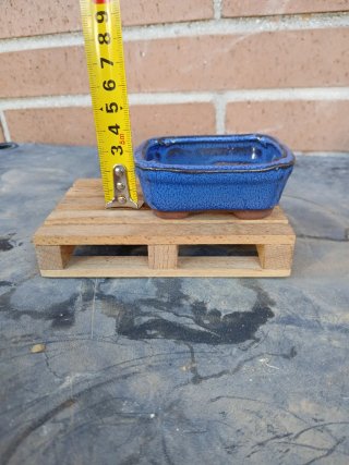 Maceta Mame Bonsái Azul Cerámica