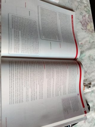 LINGUA E LITERATURA 2 BCH CONSTRUINDO MUNDOS
