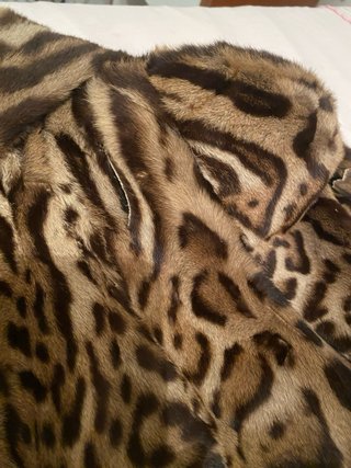 Pelliccia Ocelot Animalier da Riparare