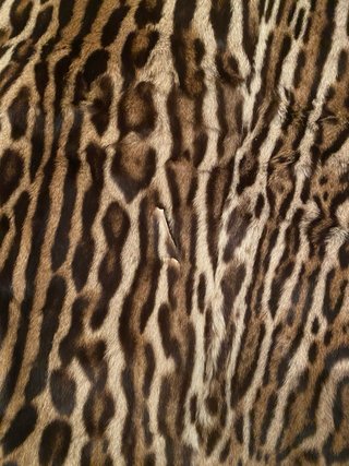 Pelliccia Ocelot Animalier da Riparare