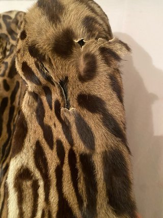 Pelliccia Ocelot Animalier da Riparare