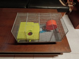 Jaula para hámster con accesorios