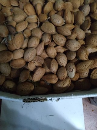 Almendrucos sin pelar