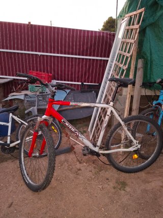 Bicicleta Orbea y las otras dos