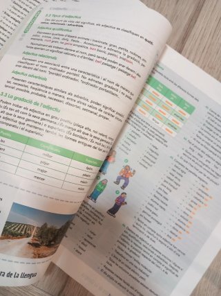 LLENGUA CATALANA I LITERATURA 1 BL (COMUNITAT EX)