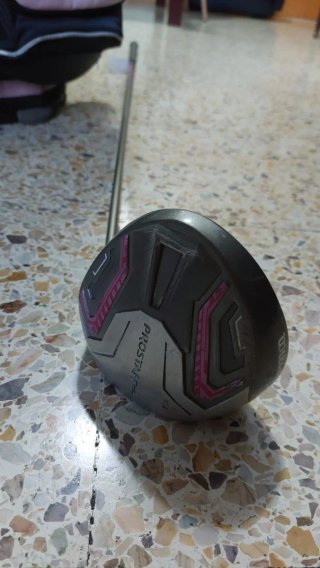 Set Palos (10) Golf Wilson Mujer