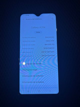 Samsung A20s
