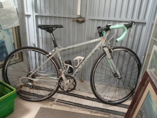 Bicicleta Trek Lexa Mujer