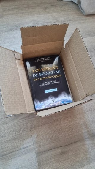 Los Estados de Bienestar en la encrucijada