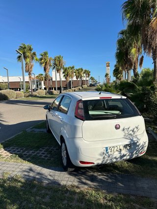 FIAT Punto Evo 2013