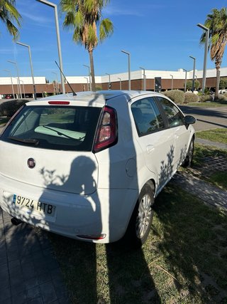 FIAT Punto Evo 2013