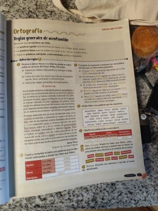 Lengua castellana y literatura 2o ESO