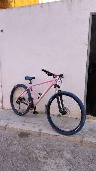 Specialized Rockhopper Sport 29 2024