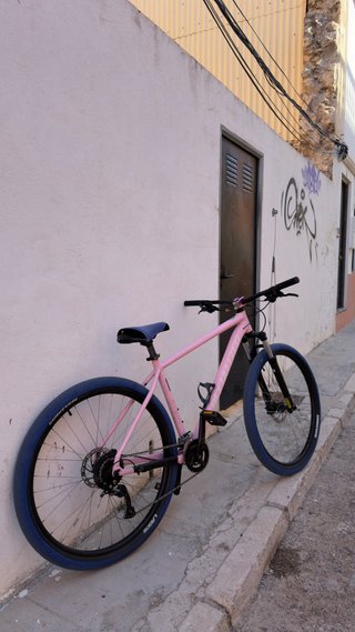Specialized Rockhopper Sport 29 2024