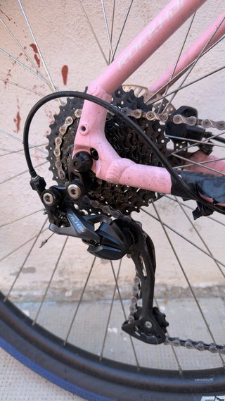 Specialized Rockhopper Sport 29 2024