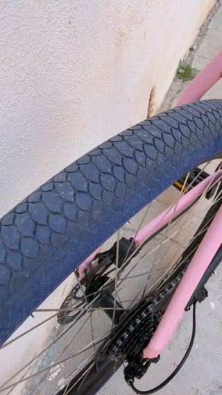 Specialized Rockhopper Sport 29 2024