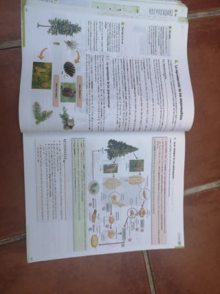 Biología, Geología y Ciencias Ambientales 1o Ba...