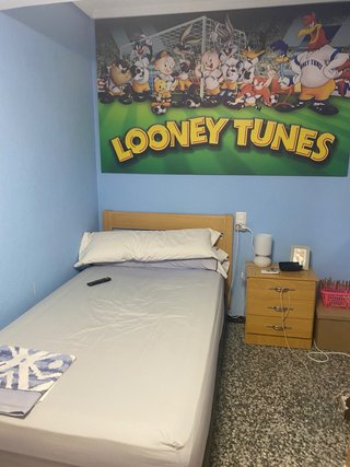 Cuadro Decorativo Looney Tunes