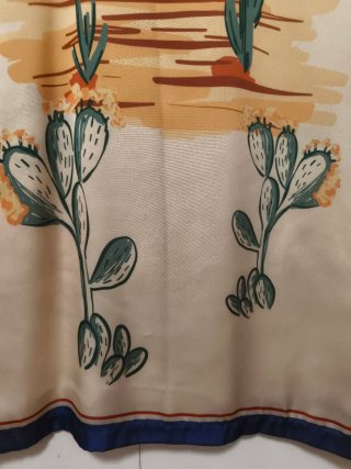 Camisa Zara Estampada Desierto