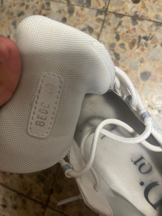 Dior B22 Blancas y Grises