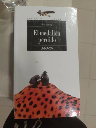 El medallon persiso