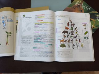 Bioloxía e xeoloxía, 1 ESO, Galicia, Operación ...