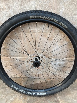 Ruedas MTB 29 Schwalbe Racing Ray
