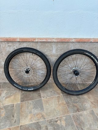 Ruedas MTB 29 Schwalbe Racing Ray