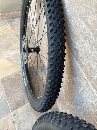 Ruedas MTB 29 Schwalbe Racing Ray