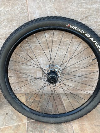 Ruedas MTB 29 Schwalbe Racing Ray