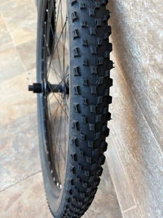 Ruedas MTB 29 Schwalbe Racing Ray