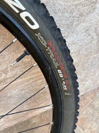 Ruedas MTB 29 Schwalbe Racing Ray