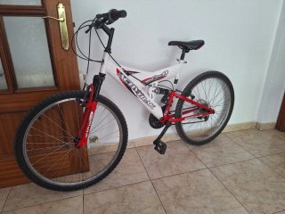 Bicicleta