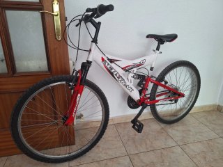 Bicicleta