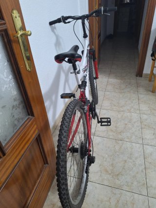 Bicicleta