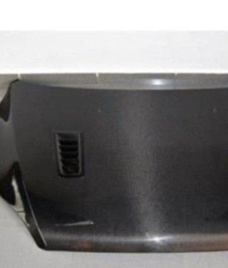 Capó Carbono Ford Focus 2005-2007 C/T RS