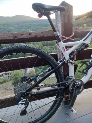 Bici Specialized Stumpjumper 29 Doble Suspensión