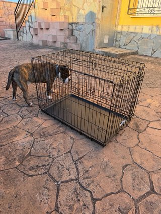 Jaula Perro Nueva 91x63x57
